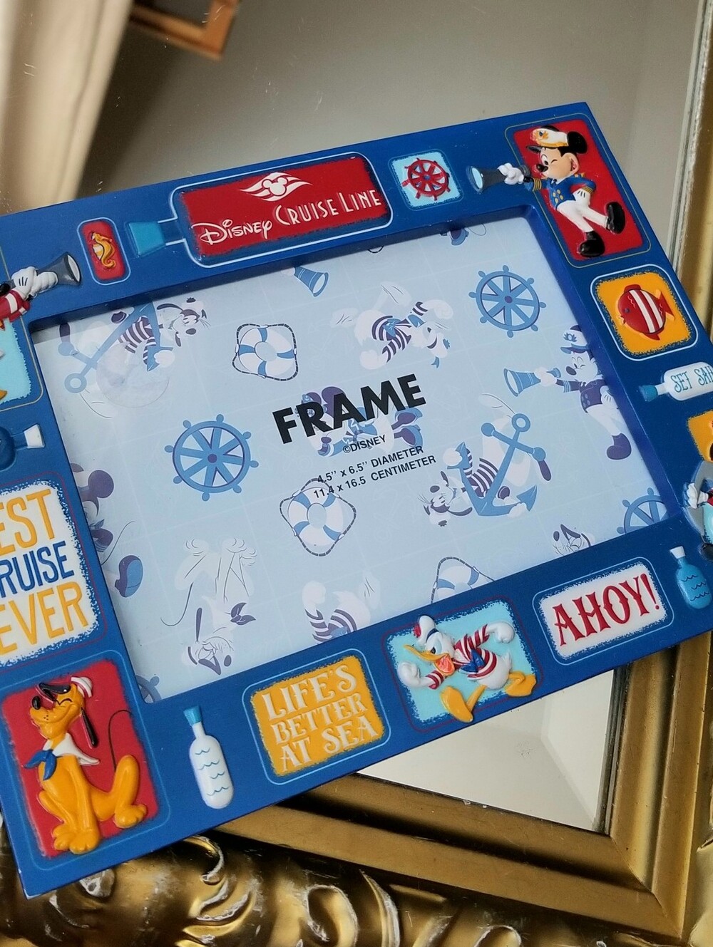 ❗Vintage Disney Cruise Line Nautical Theme Picture Frame❗
